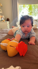 DANCE PATO - The musical toy that makes your little one dance, smile and learn (Immediate Shipping)